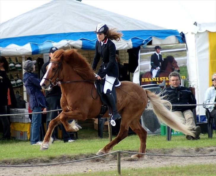 Islænder Sævar från Musö - 5} galop! til pinsestævne fik bla 7 (: foto : Maria billede 4