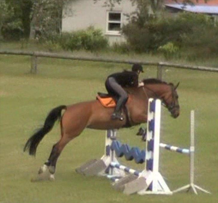 Anden særlig race Sunshine - Sunshine og Mia springer d. 22 juni 2010. Undskyld kvaliteten, taget fra video. Film: Mig. billede 12