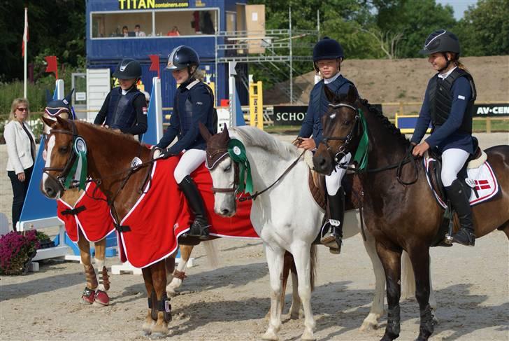 Anden særlig race Mystery Man (SOLGT) - Og så er vi alle sammlede heh XDFoto:Linnea! billede 17