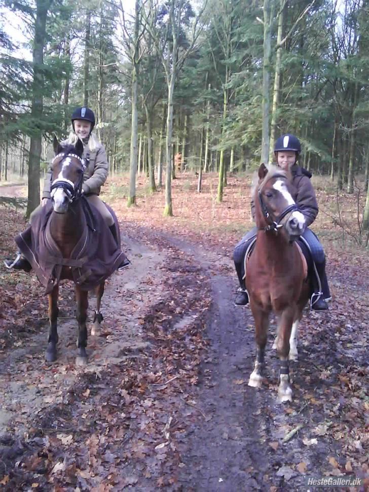 Anden særlig race Beauty ( gammel part) - så er vi klar til at komme i skoven :* billede 9