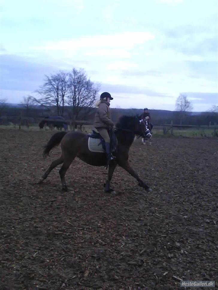 Anden særlig race Beauty ( gammel part) - jeg gav dig en rose og sagde, når denne rose dør, dør vores venskab... du kiggede på mig og sagde jamen jeg vil ikke have at vores venskab skal dø<3 jeg smilede og sagde bare rolig rosen er af plastik<3 billede 11