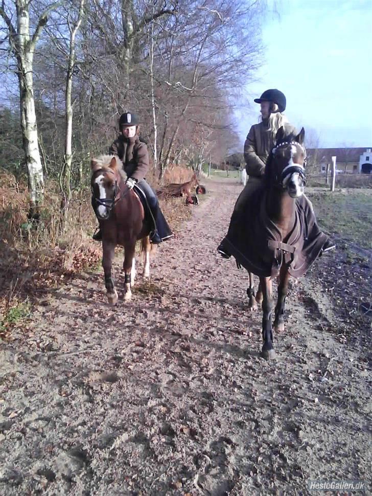 Anden særlig race Beauty ( gammel part) - du er så dejlig billede 13