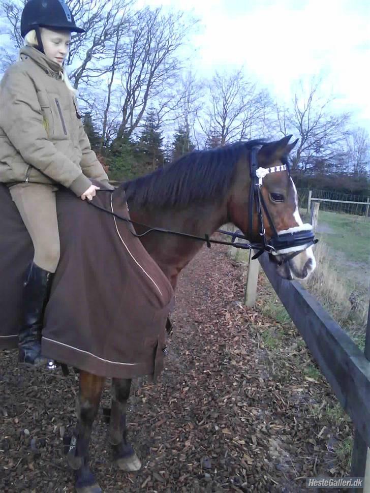 Anden særlig race Beauty ( gammel part) - uhhh???? hvad er det der er der?! <3 billede 14