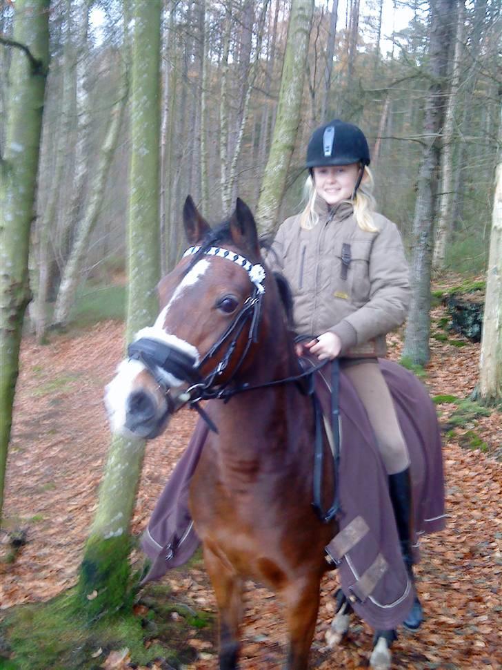 Anden særlig race Beauty ( gammel part) - hihi du er alt.. jeg mener det :* billede 15