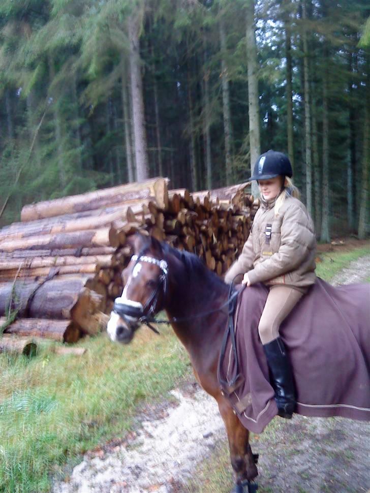 Anden særlig race Beauty ( gammel part) - hihi<3 billede 16