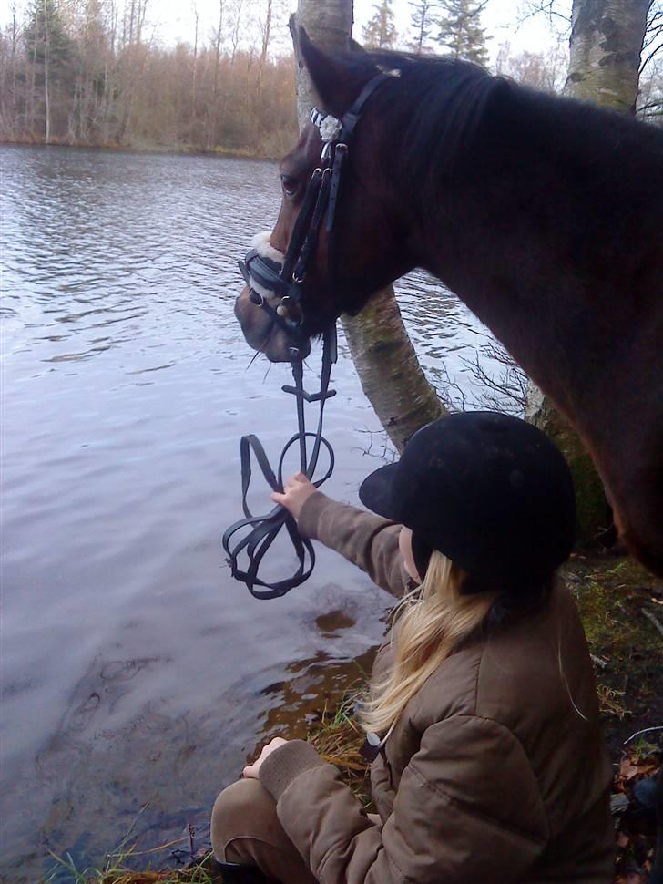 Anden særlig race Beauty ( gammel part) - hvad skulle jeg gøre uden dig??<3 billede 17