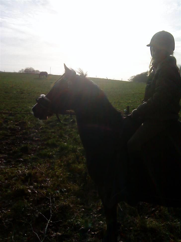 Anden særlig race Beauty ( gammel part) - elsker det billed billede 18