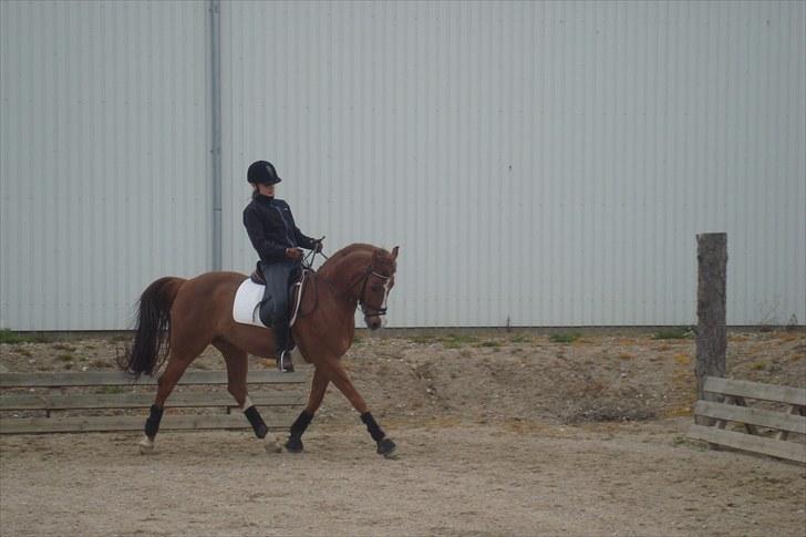 DSP Fantast A.M. billede 18