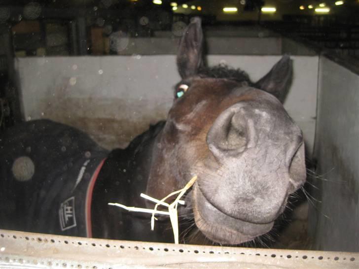 Holstener Pret A Porter (Pomfrit) - har du noget at spise ?? :) billede 7