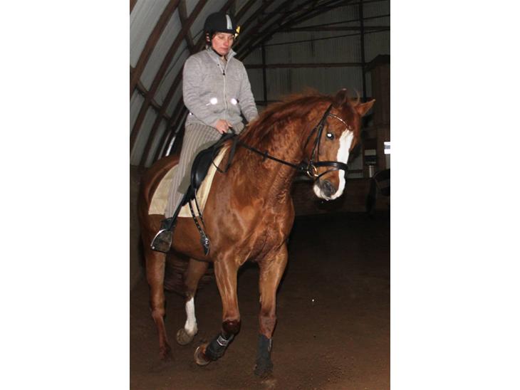 {{currentPhoto.altText}} billede {{currentPhoto.number}}