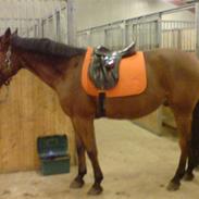 Traver cerruti`s secret....(R.I.P)