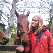 Traver Nebula of music