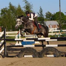 Holstener Mailunds Cirkeline