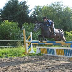 Holstener Mailunds Cirkeline