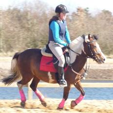 Anden særlig race bella donna casandra 