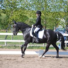 Anden særlig race Diablo