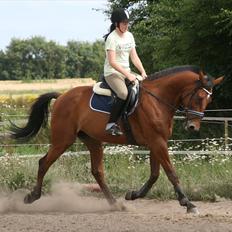 Traver Medley Spring