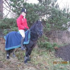 Dartmoor Don Pedro - Har redet :(