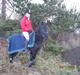 Dartmoor Don Pedro - Har redet :(