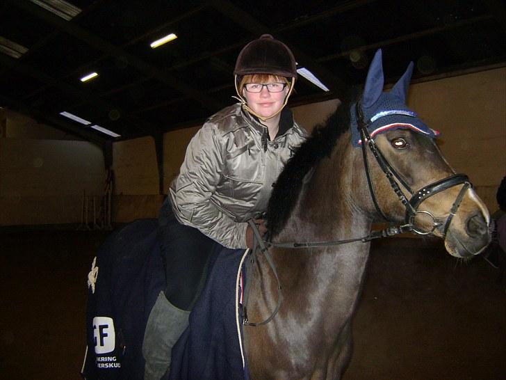 Welsh Cob (sec D) Hamrik's Brandy R.I.P - Jeg elsker dig..;D billede 12