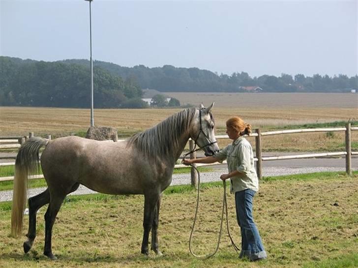 Arabisk fuldblod (OX) Kaheela el Dahab - Kaheela og mig. Hun er ung og med på horsemanship-kursus i 2003 billede 1