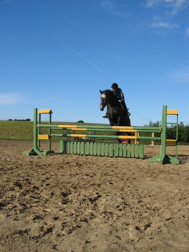 Holstener Mailunds Cirkeline - Også 5 år her. billede 4