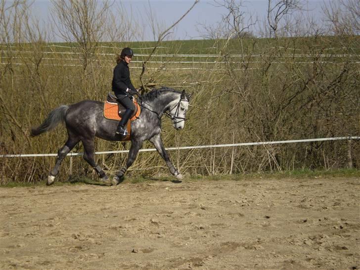 Holstener Mailunds Cirkeline - Opvarmning før spring træning. billede 8