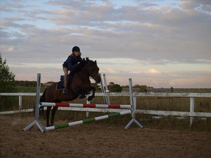 Anden særlig race Fiona - red - Spangbogaard ridelejr 2010 <3 Foto: Anita :) billede 6