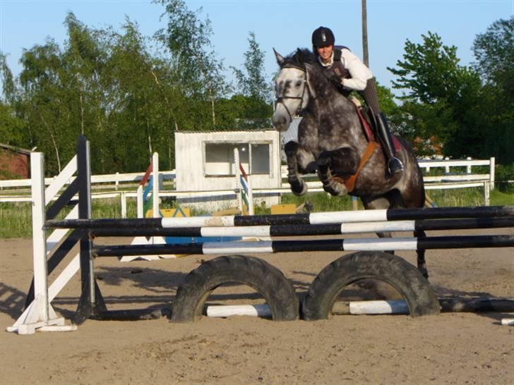 Holstener Mailunds Cirkeline billede 15