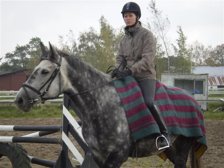 Holstener Mailunds Cirkeline billede 17