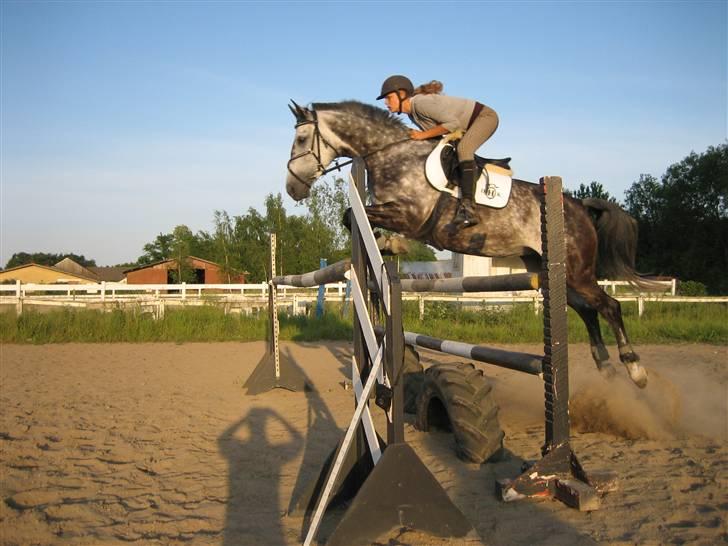 Holstener Mailunds Cirkeline - Igen de to. billede 20