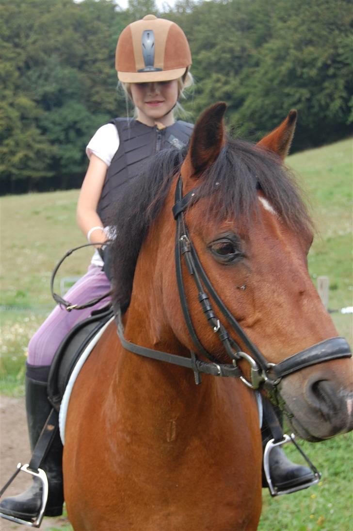 Anden særlig race Prinsen Af Krogsgård - Mig og min ejer Mia er lige kommet hjem fra en dejlig skovtur!!!!!!! <333 billede 8
