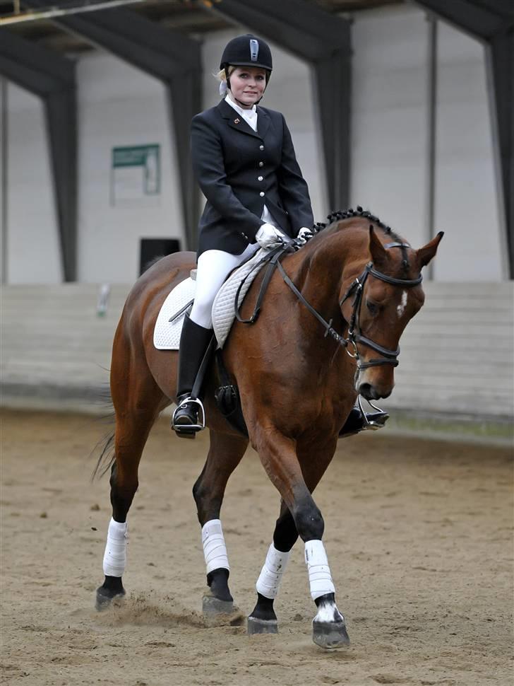 Westfaler Marian R.I.P. - LB1 BAL November 2009 billede 12