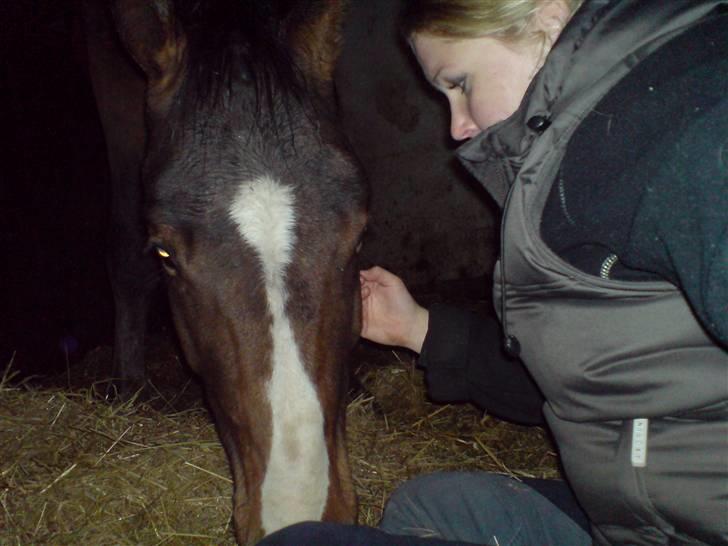 Anden særlig race Mj Sioux  (solgt) billede 13