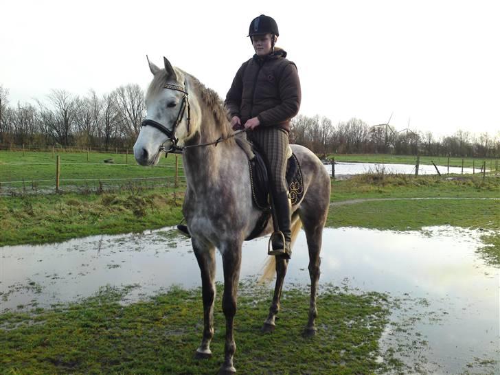 Dansk Varmblod Nikita af Sandager - oktober/november 2009 billede 16