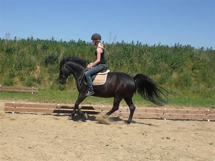 Anden særlig race Luna  - so I was nailing her... - Emily Fitch <3  billede 10