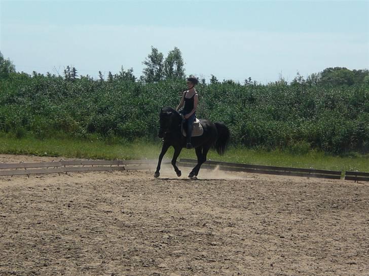 Anden særlig race Luna  - you'll stay with me? - until the very end.. - Harry Potter & James Potter <3 billede 11