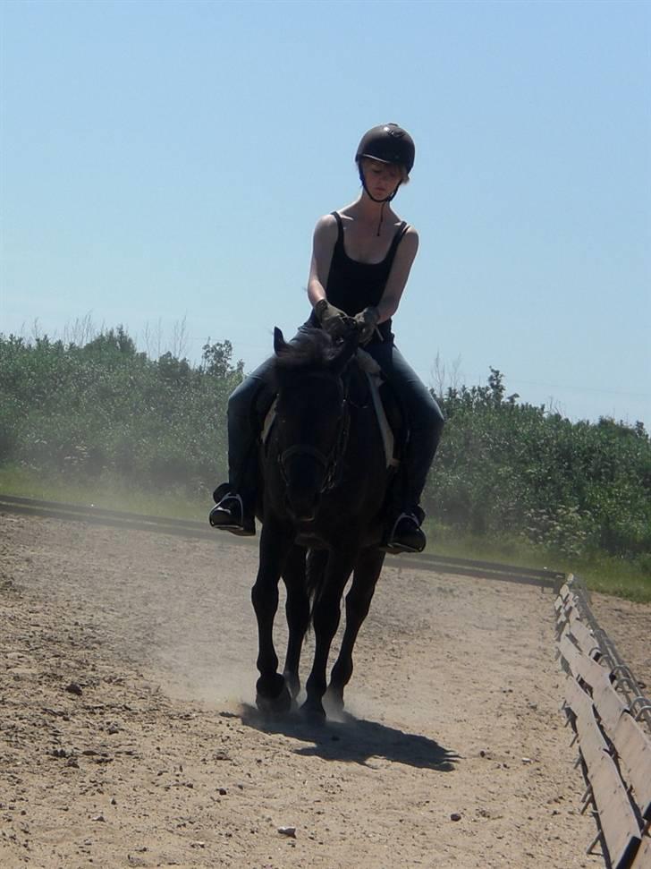 Anden særlig race Luna  - it's you and me babe. it's always gonna be you and me - James Cook <3  billede 14