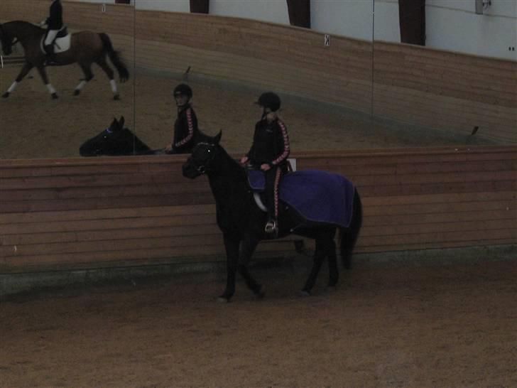 Anden særlig race Luna  - so I told him he was a pitty boss and a pastard and he could pucking put his pucked head up his backside. stupid prick... stupid punt - Chris Miles <3  billede 16