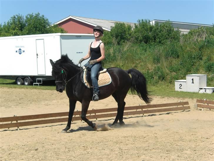 Anden særlig race Luna  - the humans never did figure love out. how much is physical, how much is mind? how much accident and how much fate? I dont know the answer any better than they did. love is where it is... - Kathy <3  billede 17