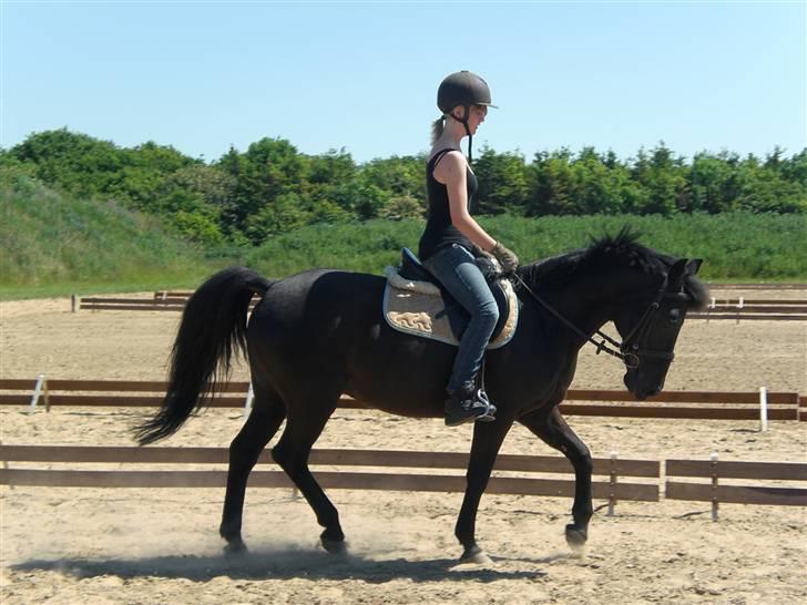 Anden særlig race Luna  - you will never know how much time you have left - Jared Howe & Melanie Stryder <3  billede 18