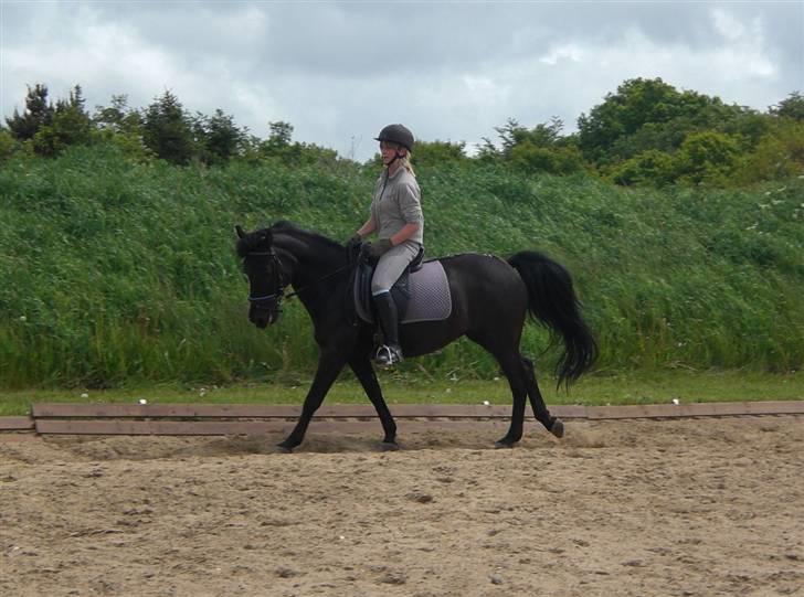 Anden særlig race Luna  - and that's the second time we've saved your life tonight, you two-faced bastard! - Ron Weasley <3  billede 19