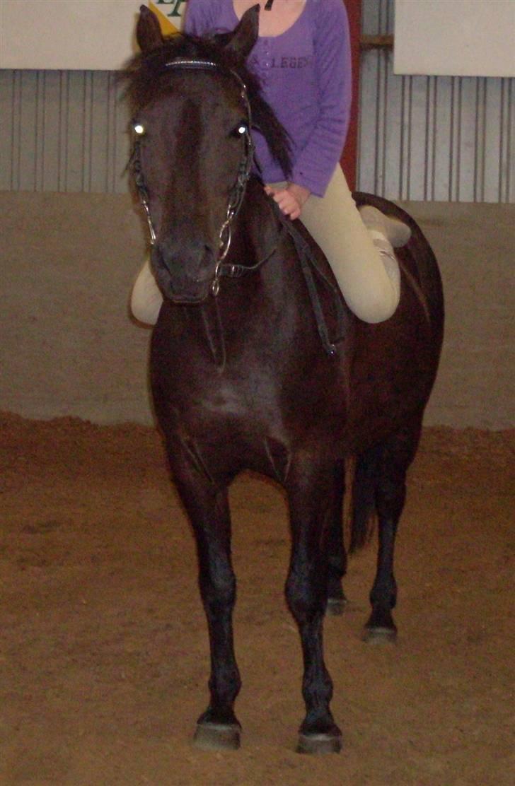 Anden særlig race Luna  - as long as she wants me, I am here - Edward Cullen <3  billede 20