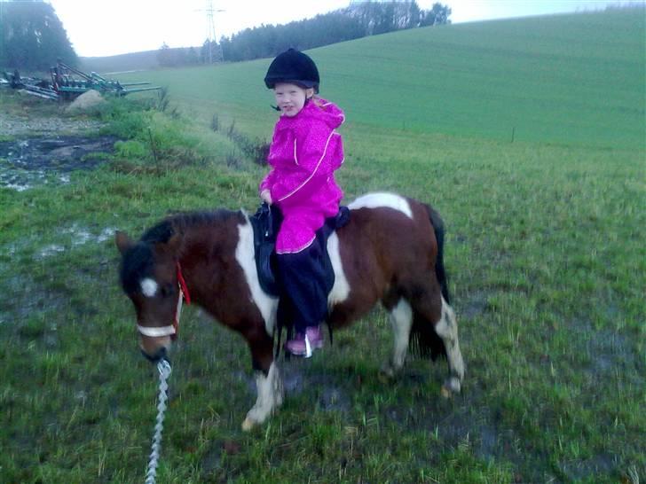 Anden særlig race Bella ( solgt ) - her er så mig og min 2½ dags passer, er vi ikke bare kære sammen? billede 12