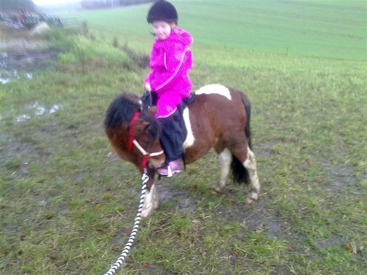 Anden særlig race Bella ( solgt ) - jeg skal lige se om hun sidder rigtigt, smiler. billede 13