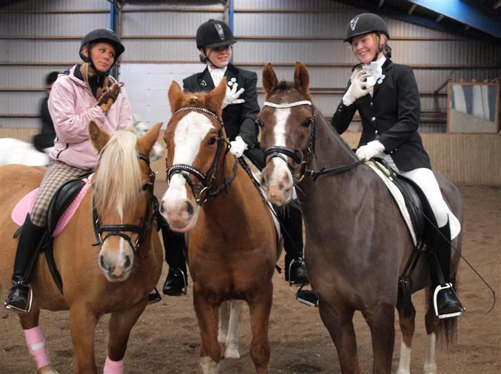 Anden særlig race Buffy - til stævne i VROR, mig, Nina og Camilla. billede 11