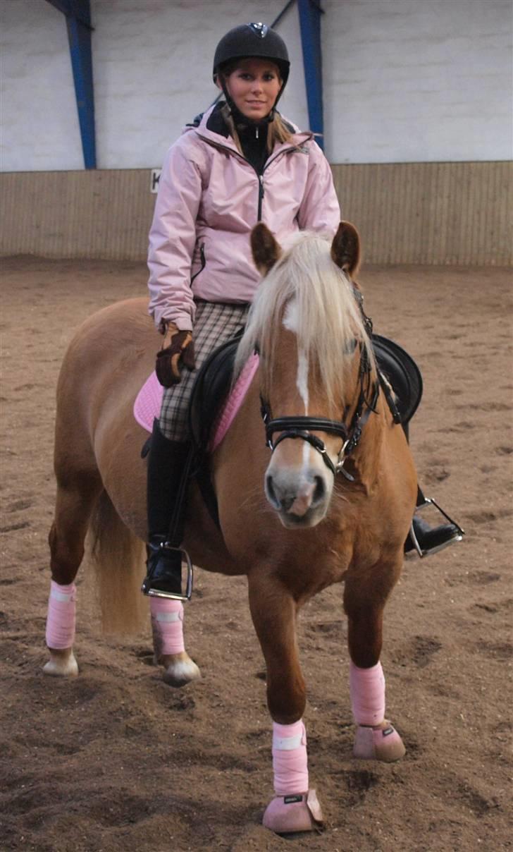 Anden særlig race Buffy - til stævne i VROR billede 12