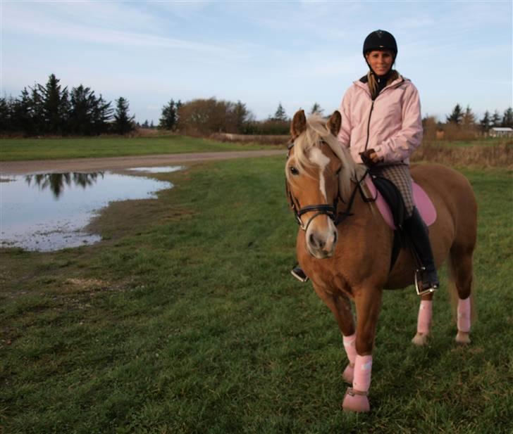Anden særlig race Buffy - til stævne i VROR billede 13