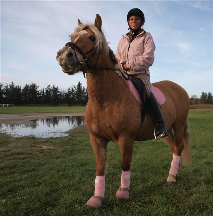 Anden særlig race Buffy - til stævne i VROR, Buffy smiler også :p billede 14