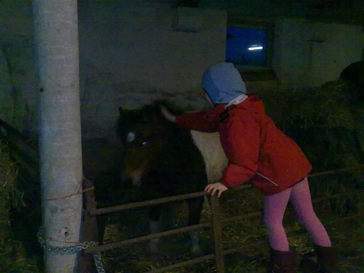 Anden særlig race Bella ( solgt ) - hvor jeg elsker dig min 2½ dags passer, kom snart igen. billede 14